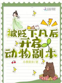 �����·��������︱��