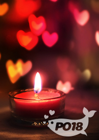 ��������������ū