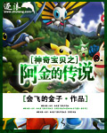 ���汦��֮����Ĵ�˵