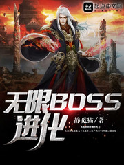 ����BOSS����