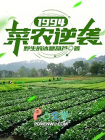 1994：菜农逆袭