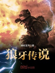 ������˵