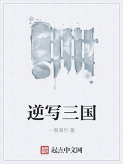 ��д����